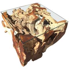 Ancient Teak Root Coffee Table with Coral