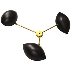 Beautiful Black "Cocotte" Sconces, circa 1960