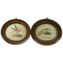 18th Century Pair of Miniature Needlework Silk Work English Birds, circa 1780 10