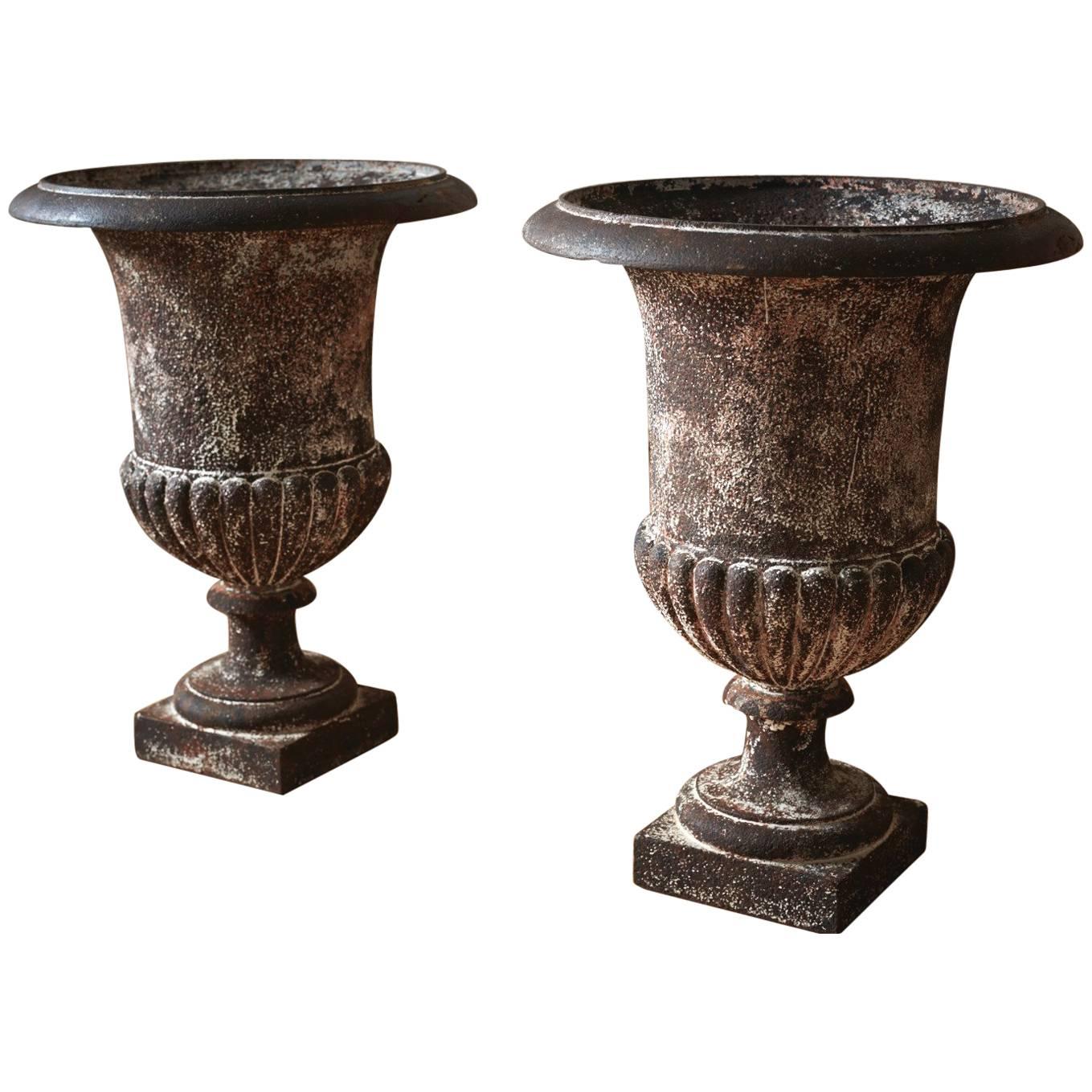 19th Century Italian Medici Urns
