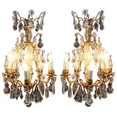 Beautiful Pair of Louis XVI Style Cage Chandeliers