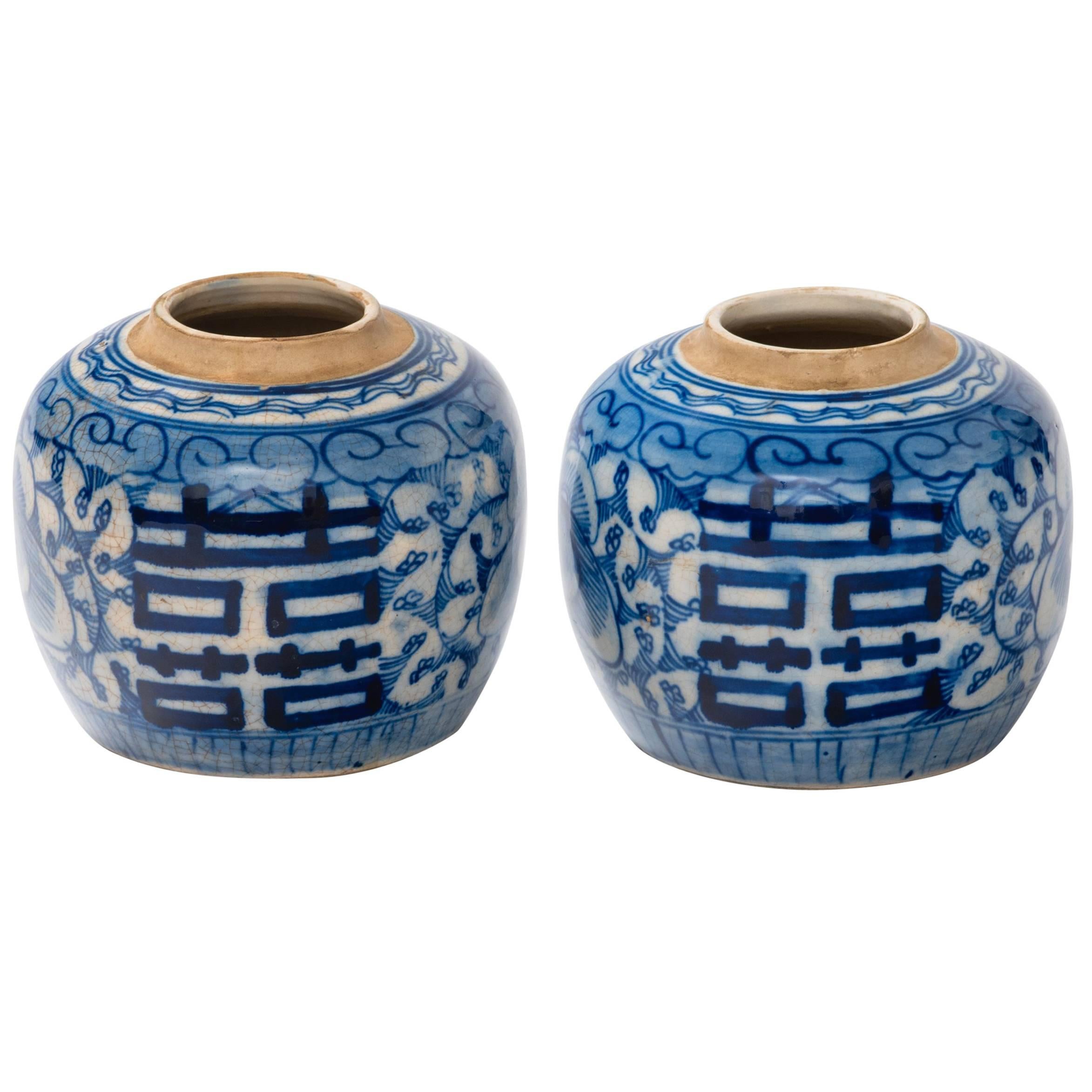 Pair of Chinese 19th Century Lotus Ginger Jars