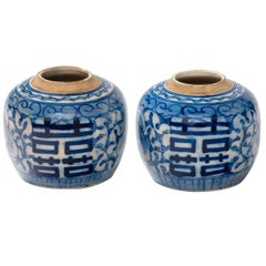Pair of Chinese 19th Century Lotus Ginger Jars