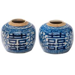 Pair of Chinese 19th Century Lotus Ginger Jars 8