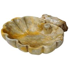 Antique Early 18th Century French Carved Marble Shell Stoup from Private Chapel