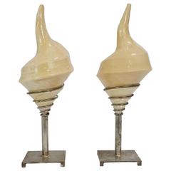 Retro Pair of Sea Shell Lamps