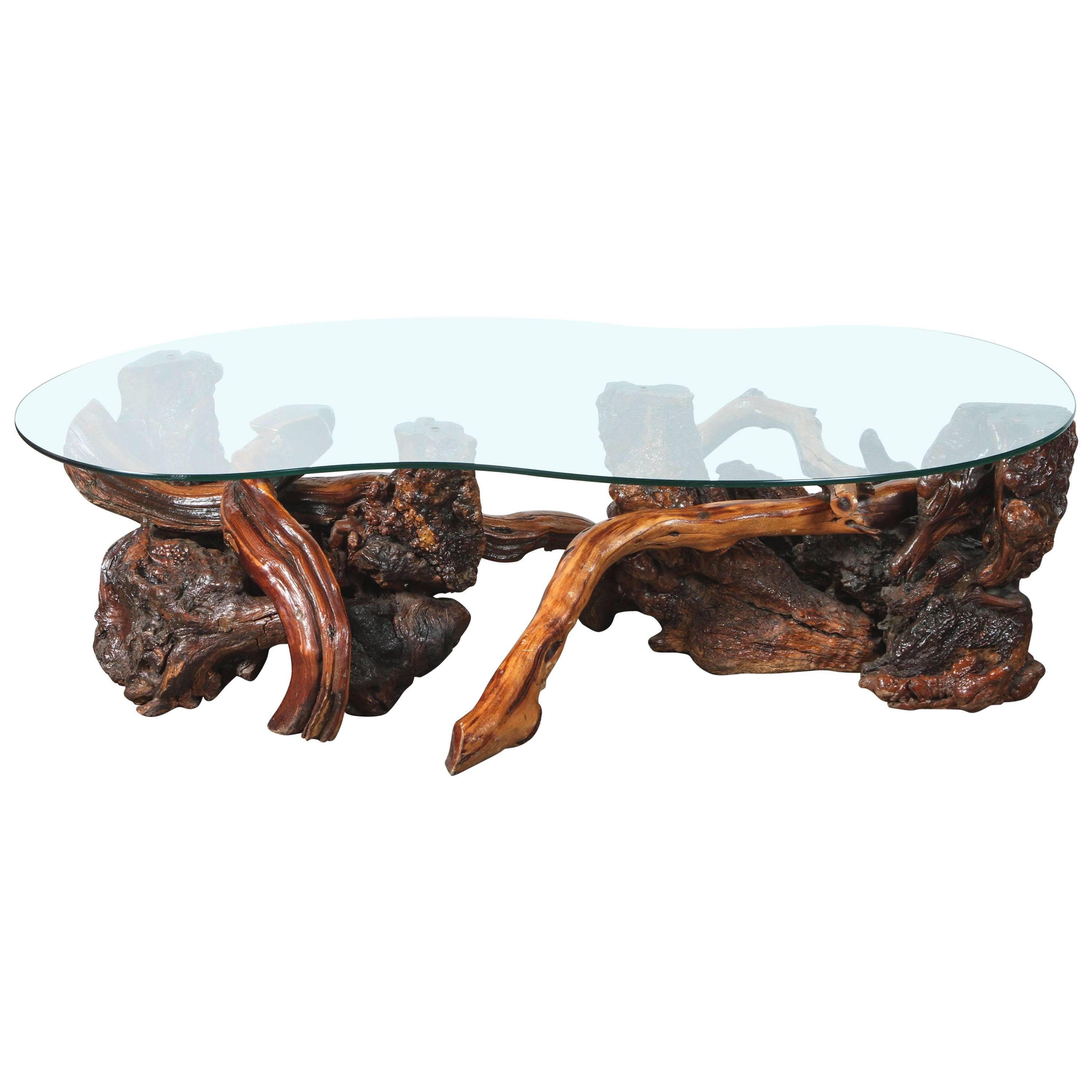 Mid-Century Redwood Burl and Vine Coffee Table with Glass Top