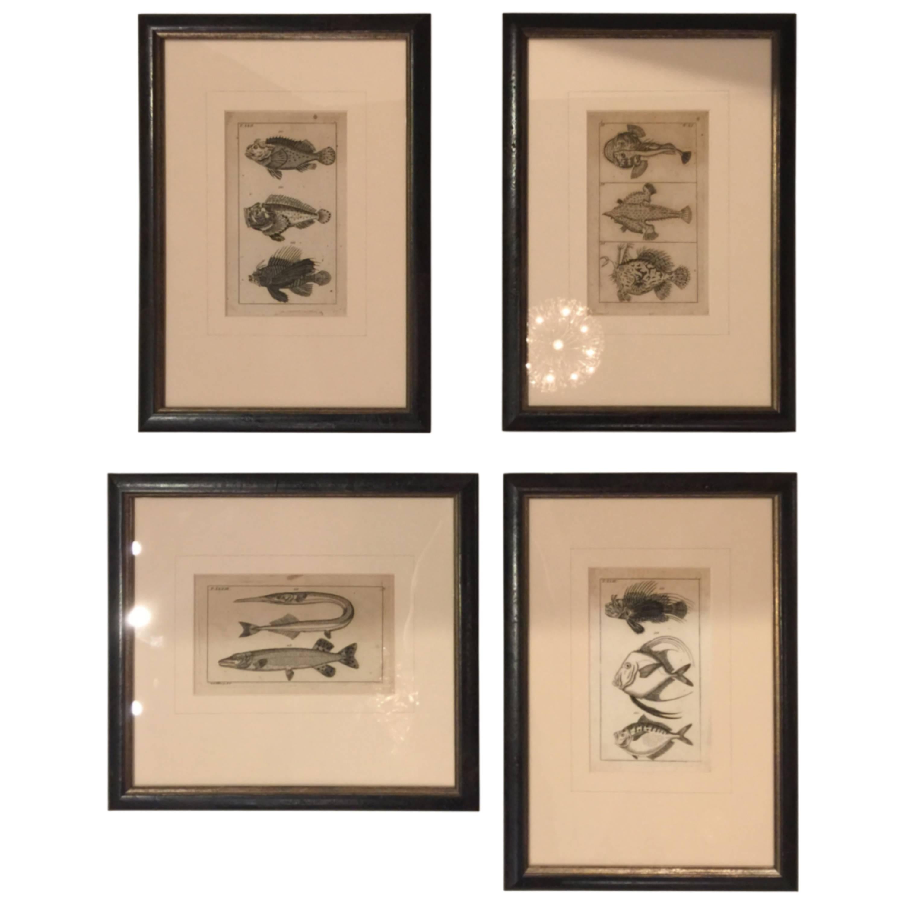 Collection of Four Wood Block Prints of Fish, 19th Century
