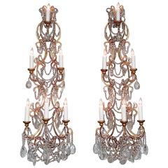 Monumental Pair of 20th Century Italian Piedmont Crystal and Gilt Tole Sconces
