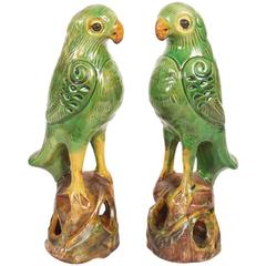 Early 20th Century Decorative Parrot