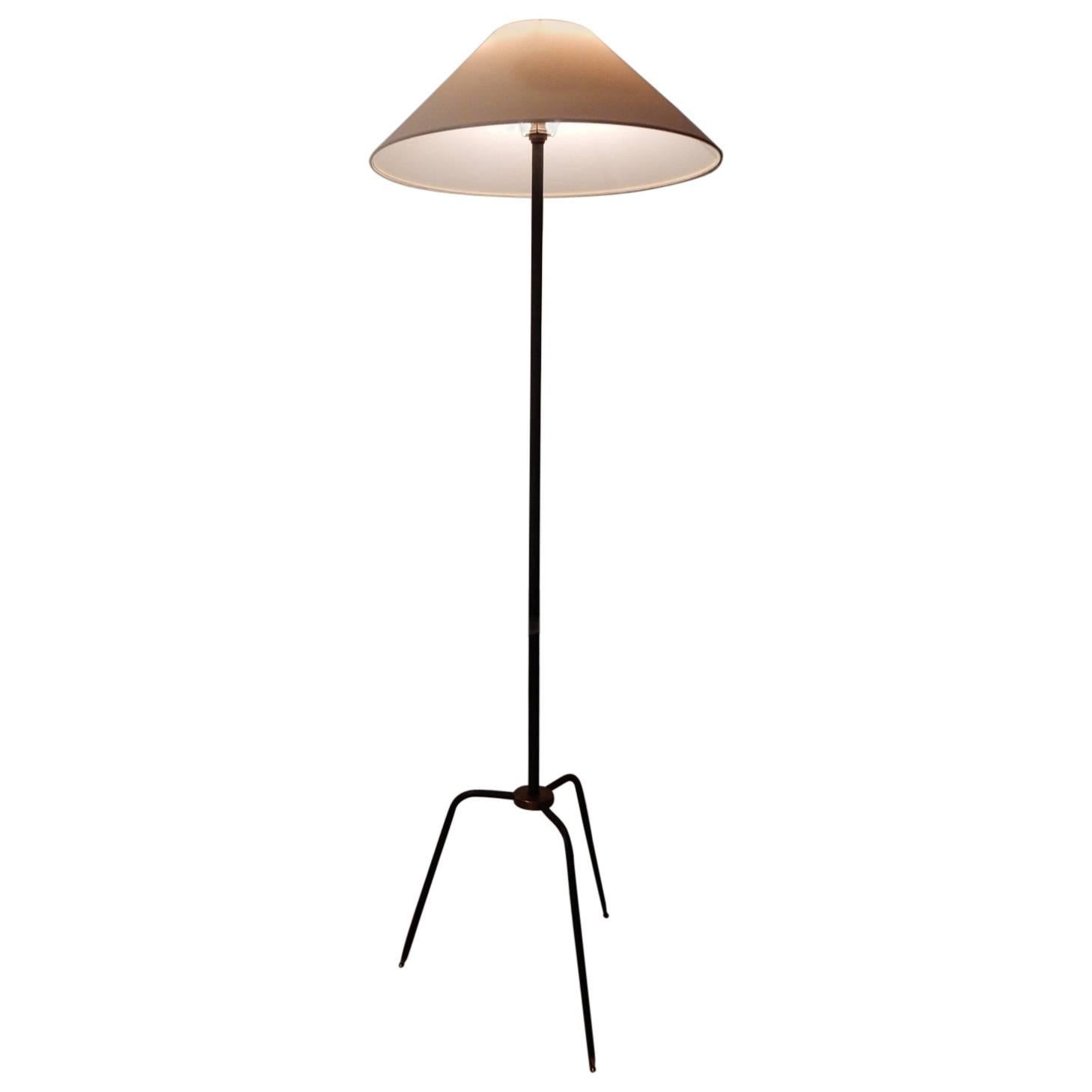 1960, French Floor Lamp