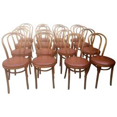 Set of 12 Thonet Bentwood Beech Brown Chairs