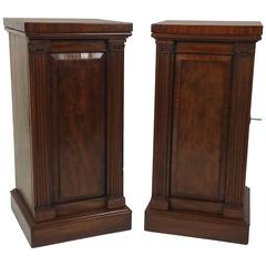Pair of 19th Century Mahogany Pedestals with Greek Revival Carved Pilasters