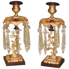 Regency bronze and ormolu tree and squirrel lustre candlesticks