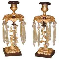 Pair of Regency Bronze and Ormolu Candlesticks 6