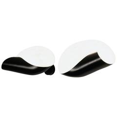 Serge Mouille Conque or Conch Shell 12