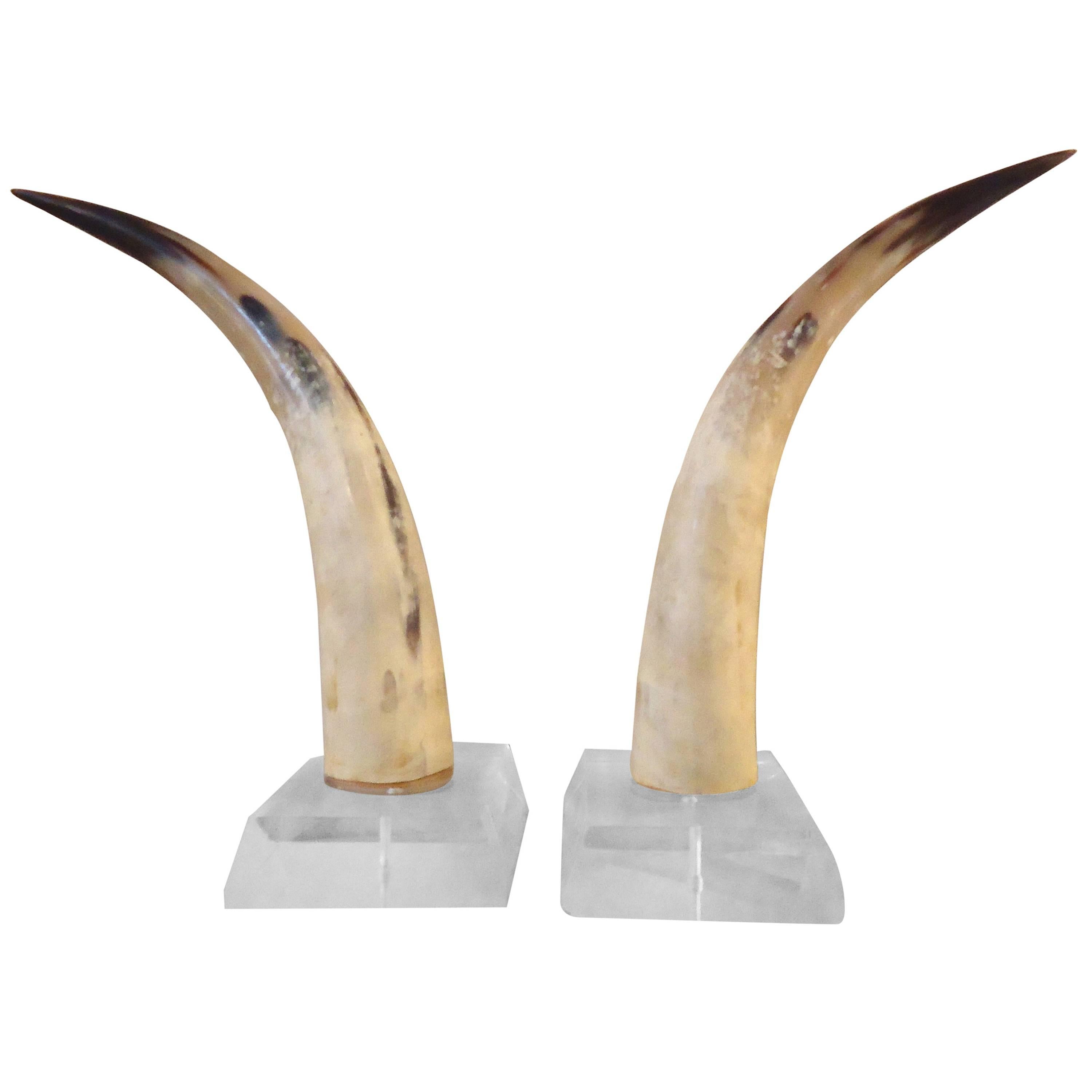Pair of Steer Horn Bookends