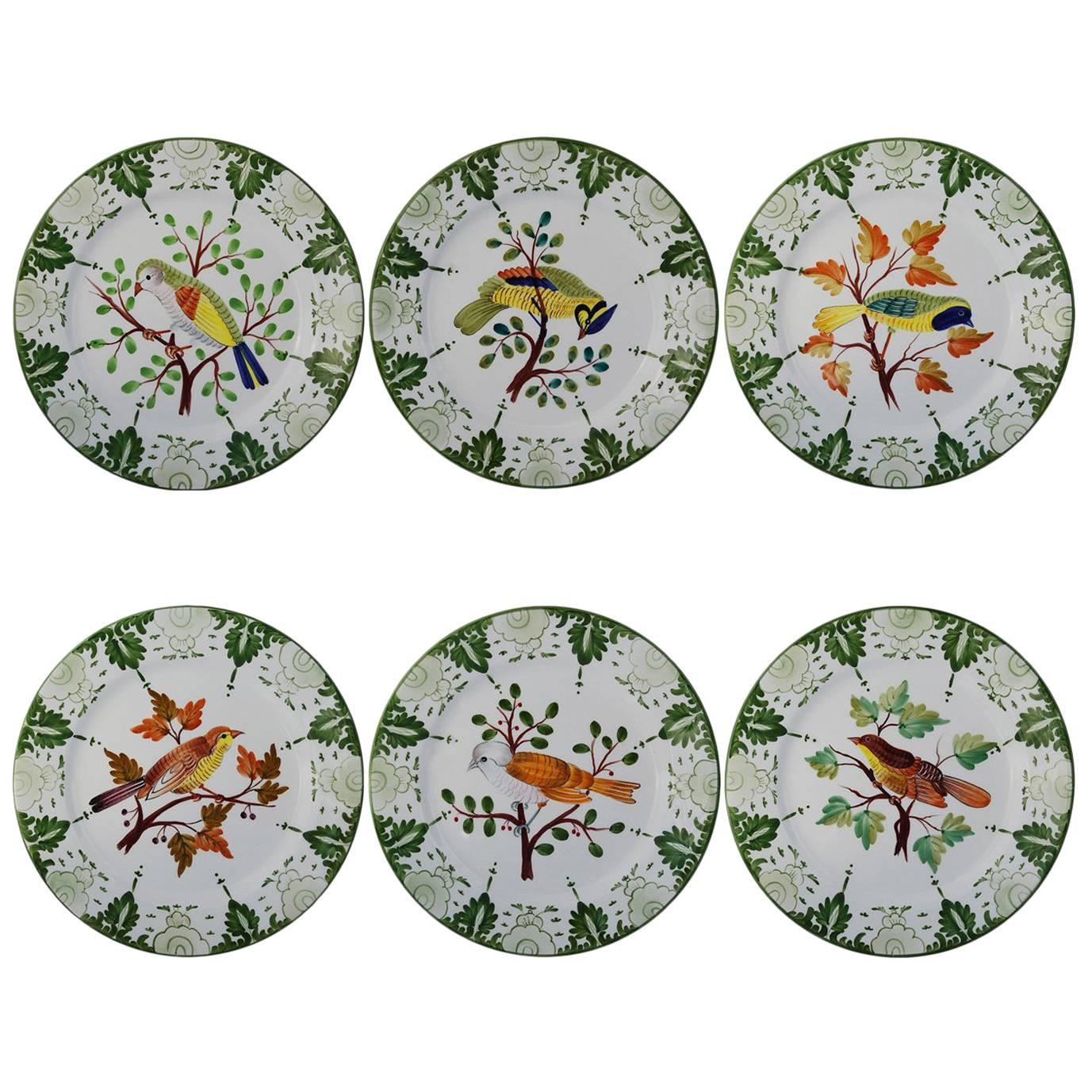 Set of six Tropical Birds Ceramic Plates