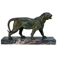 Französische Bronzeskulptur eines Tigers von Paul Edouard Delabrierre