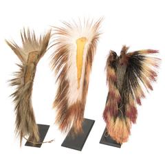 Antique Collection of Three Native American 'Plains Indian' Roach Headdresses