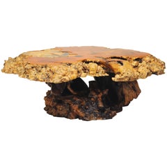 Mid Century Modern California Redwood Burl Wood Slab Live Edge Coffee Table