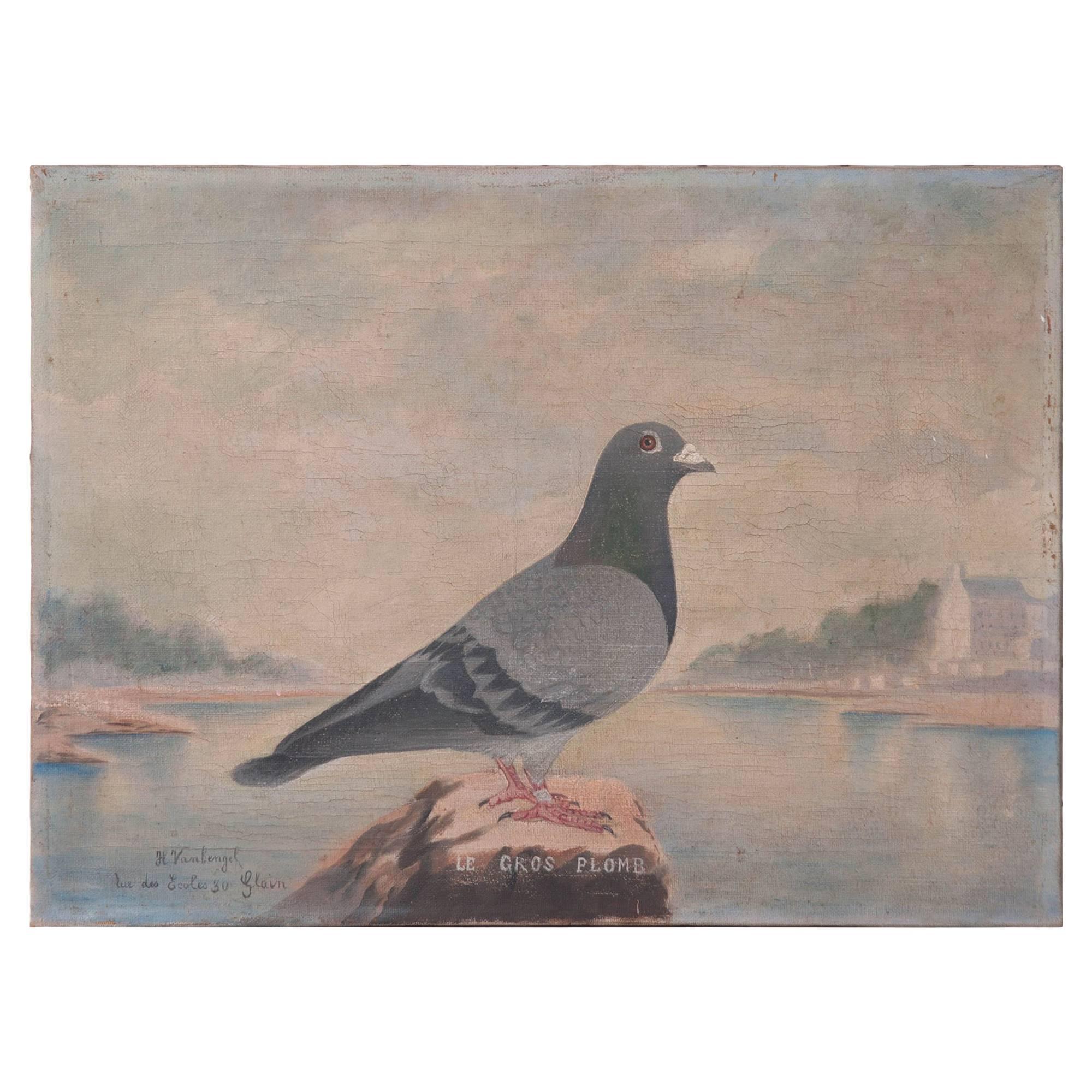 19th Century French Painting of a Racing Pigeon