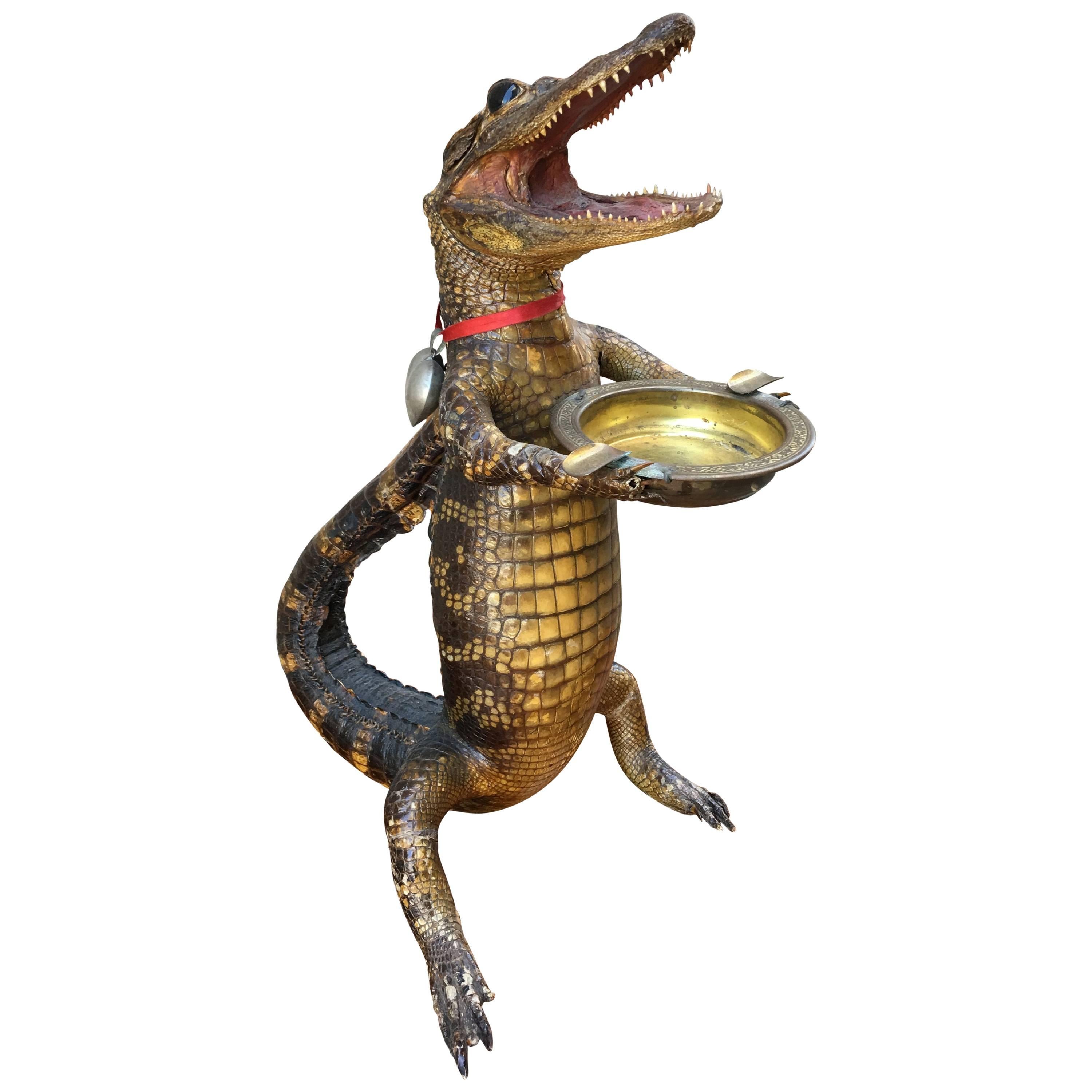 Victorian Alligator Ashtray or Footman