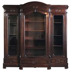 Antique 19th Century, French, Louis Philippe Mahogany Bookcase