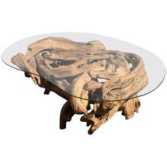 Stunning Organic Burl Wood Kidney Shaped Coffee Table