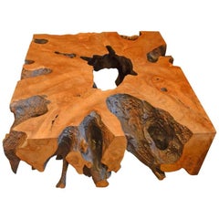 Andrianna Shamaris Teak Root Coffee Table