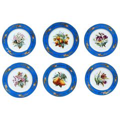 Paris Porcelain Set of Six Botanical and Fruit-Decorated Plates 1