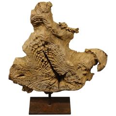 Teak Root Wood Sculpture, Indonesia, Contemporary