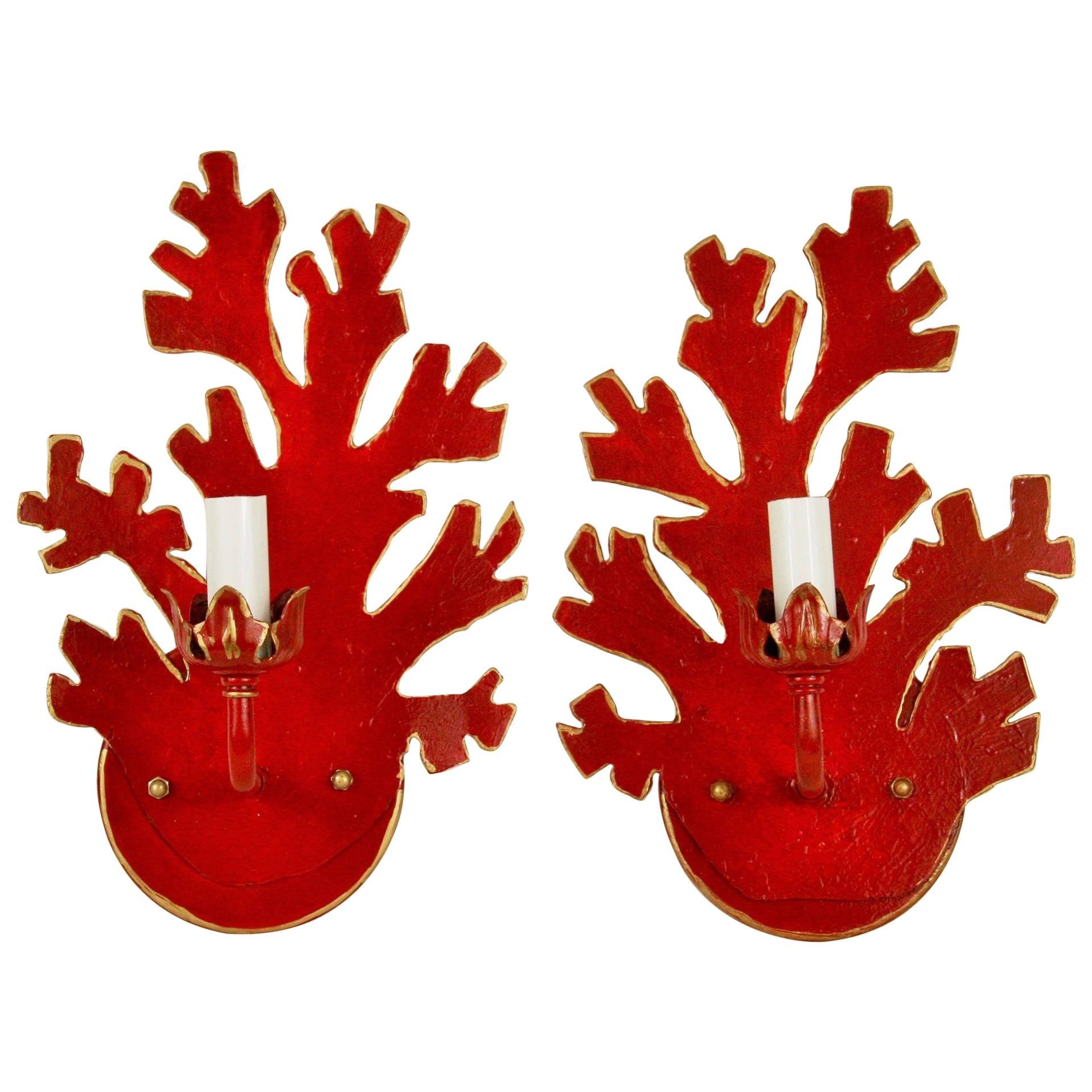 Pair of Coral Sconces