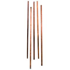 Collection European Wooden Meter Sticks, circa 1900 11