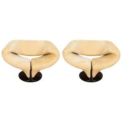 Pair of "Ribbon" Style Chairs after Pierre Paulin