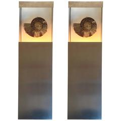 Pair of Sconces Ammonite Fossil, France, 1970s