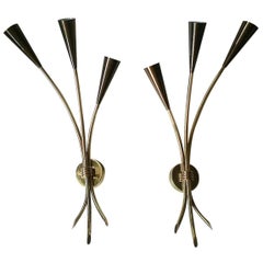 Vintage Lunel Pair of Sconces, France 1950