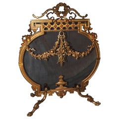 Wonderful French Doré Bronze Fireplace Screen with Ribbons Medallion Firescreen