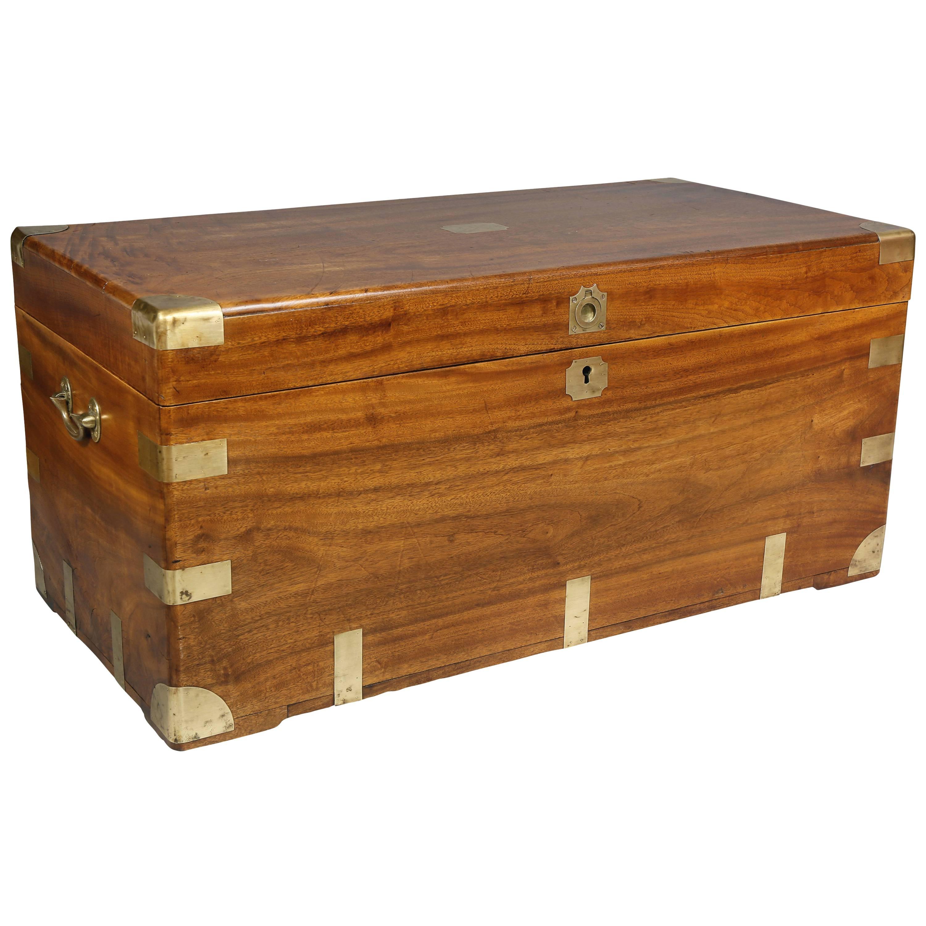 Chinese Export Brass Bound Camphor Wood Trunk