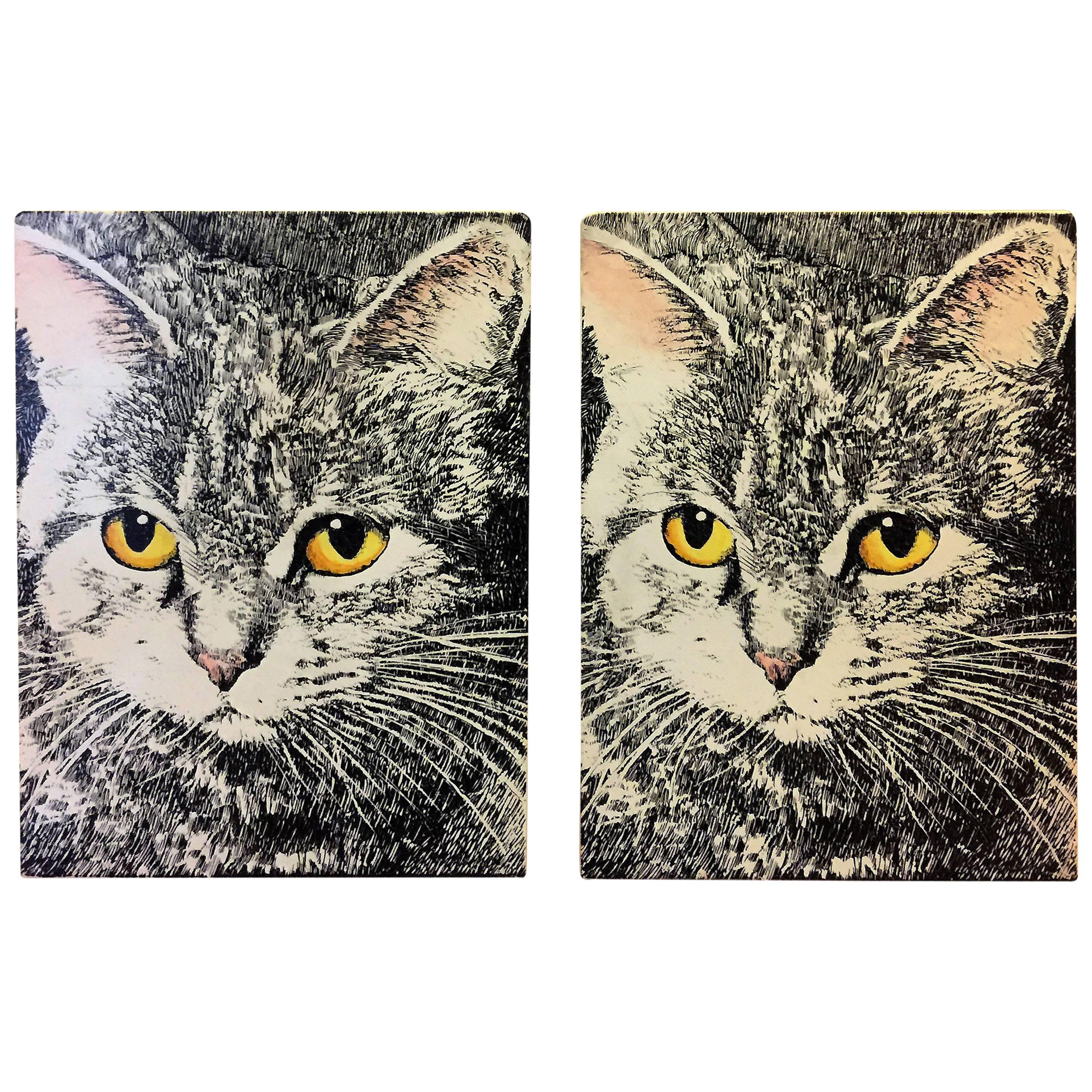 Great Pair of Piero Fornasetti Cat Face Bookends For Sale