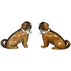 Antique Pair of German Porcelain Figures of Seated Pugs