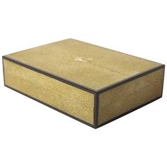 Shagreen and Ebony Box 12