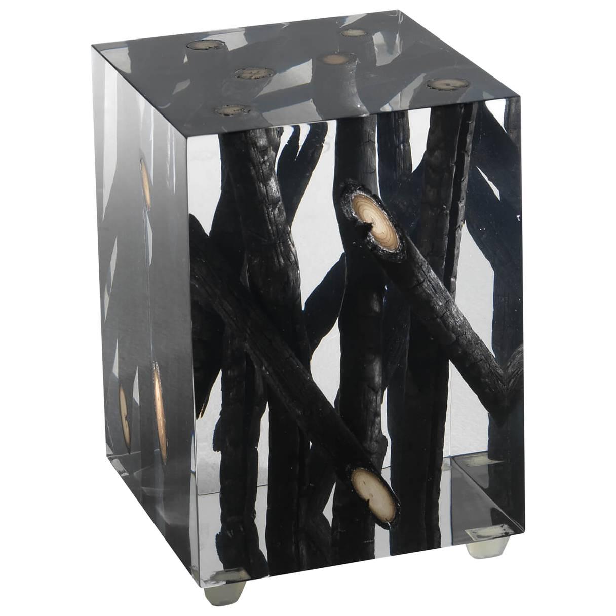 Burnt Branches in Acrylic Side Table For Sale