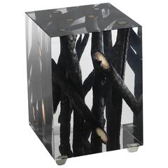 Burnt Branches in Acrylic Side Table