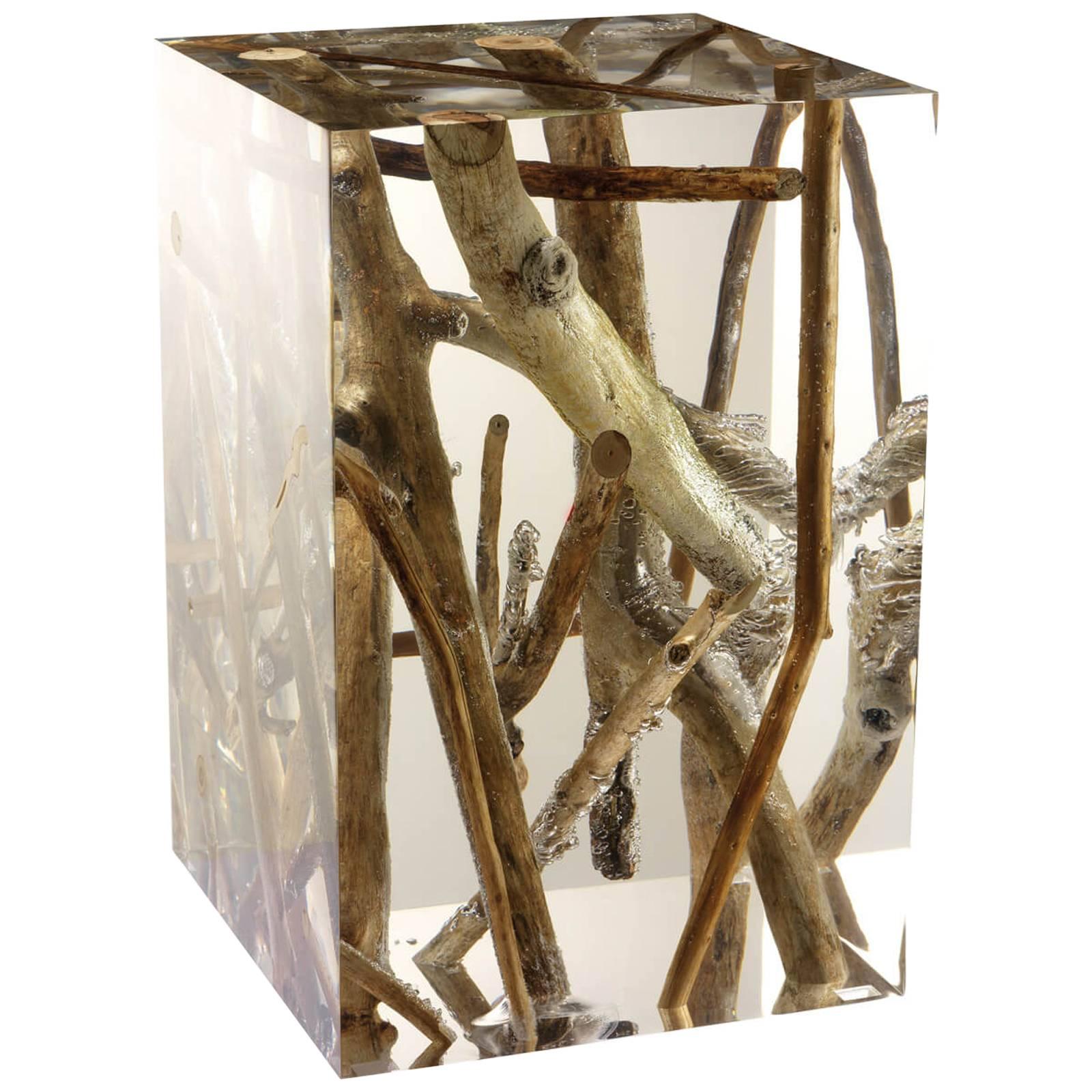 Driftwood Branches in Acrylic Side Table For Sale