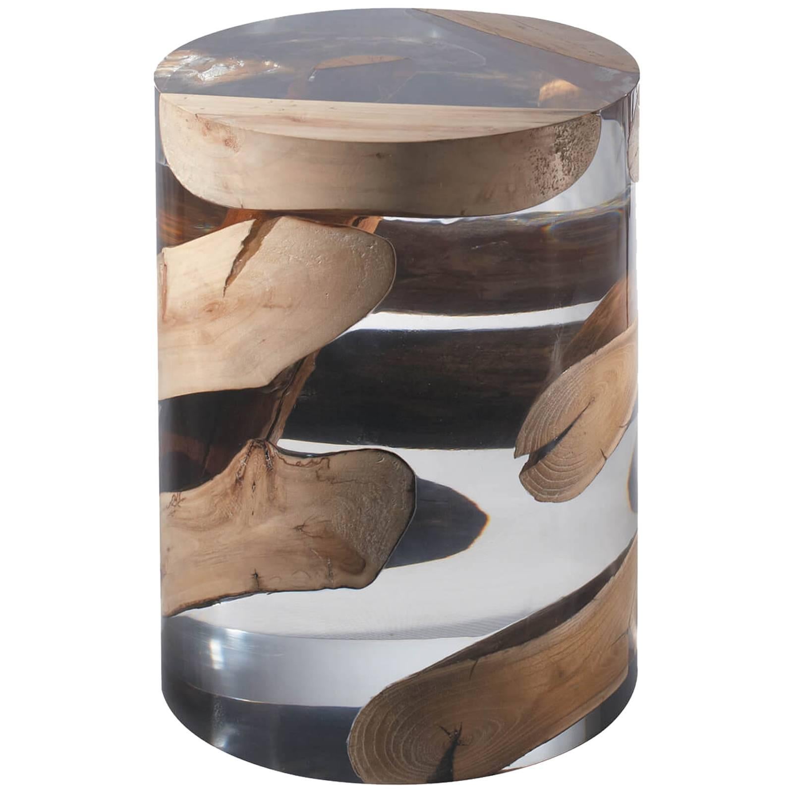 Driftwood in Acrylic Round Side Table For Sale