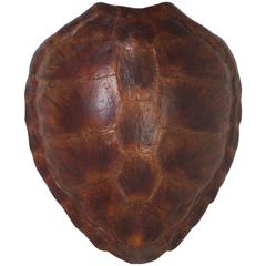 Faux Green Turtle Shell