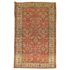 Persian Malayer Rug with Red Herati Design Field 12