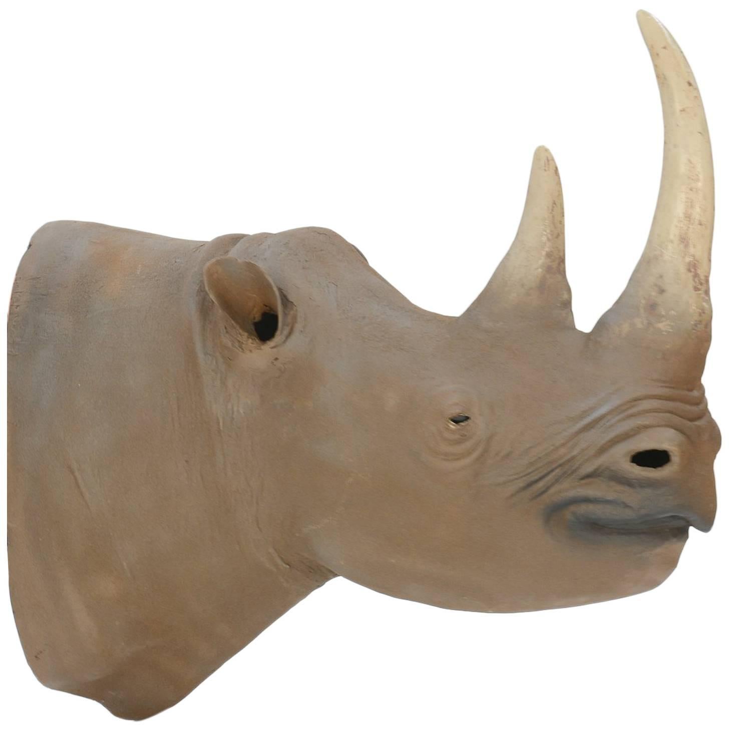 1950s Museum Full Scale African Black Rhinoceros Model