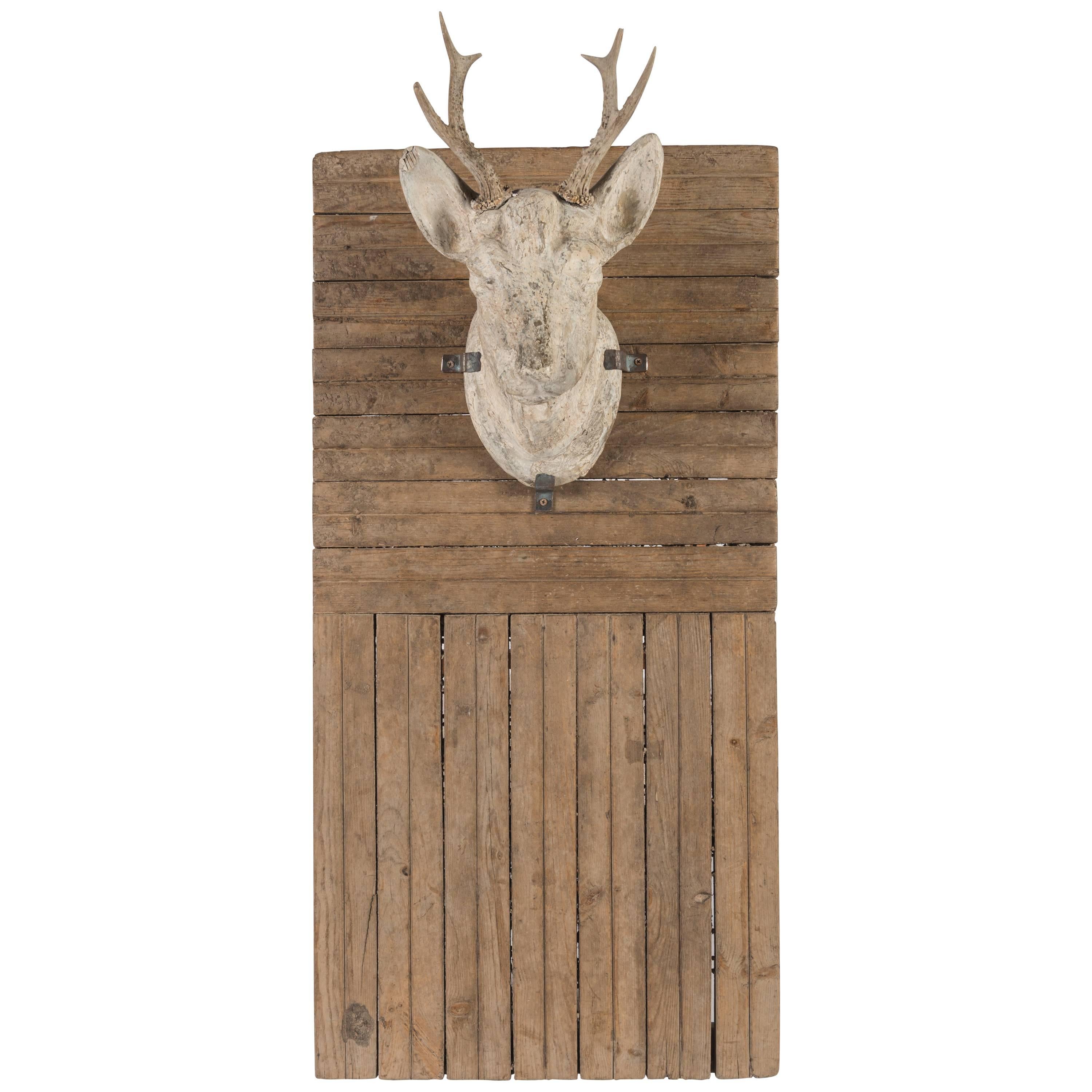 Plaster Stag's Head on Board
